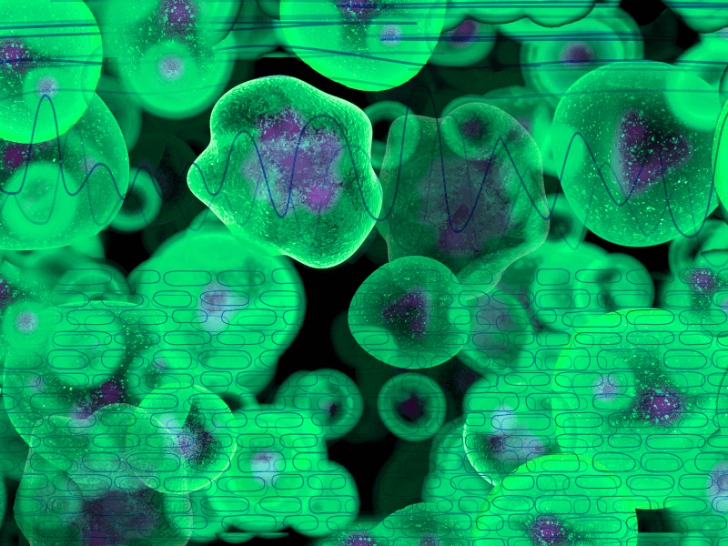 Integrating tumor microenvironment biology with clinical impact: Evolving understanding of therapeutic approaches for MF‑CTCL